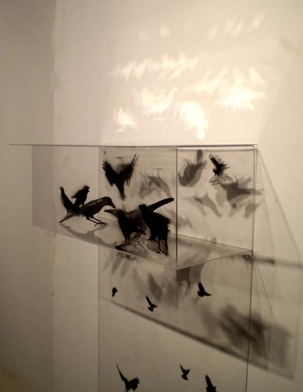 Amna Ilyas UNTITLED 5