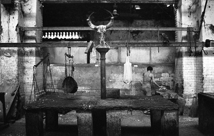 Sanjeet Chowdhury UNTITLED 2 (MEAT SERIES)