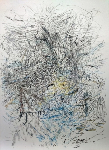 Jayashree Chakravarty, Nature's Marks