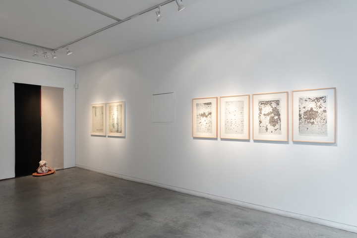 Pale Sentinels Installation View 16