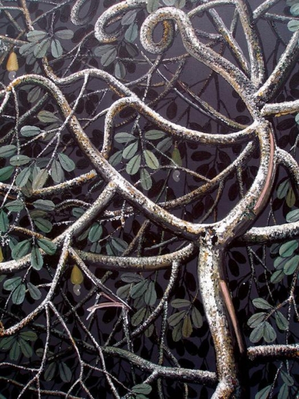 Rajan Krishnan PLANT FROM THE GROVE BY THE RIVER 3