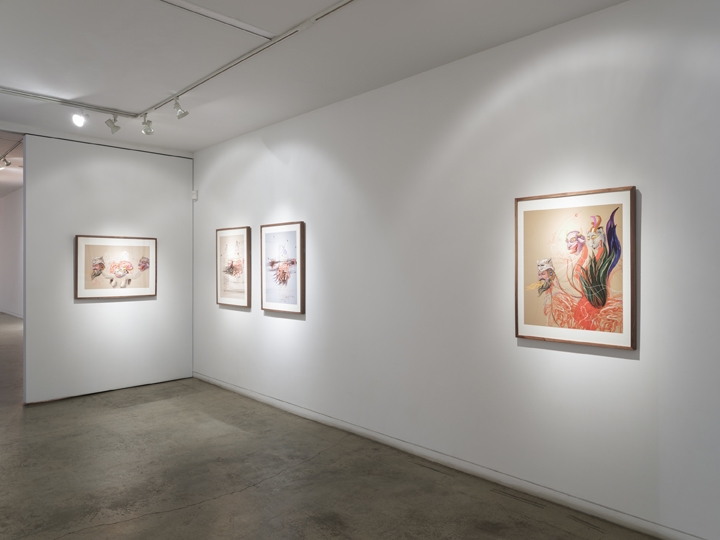 Khadim Ali & Sher Ali | What Now My Friend?, Installation view 12