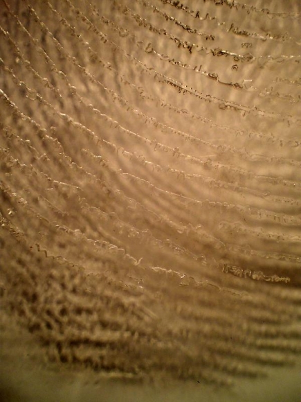 Amna Ilyas UNTITLED 8