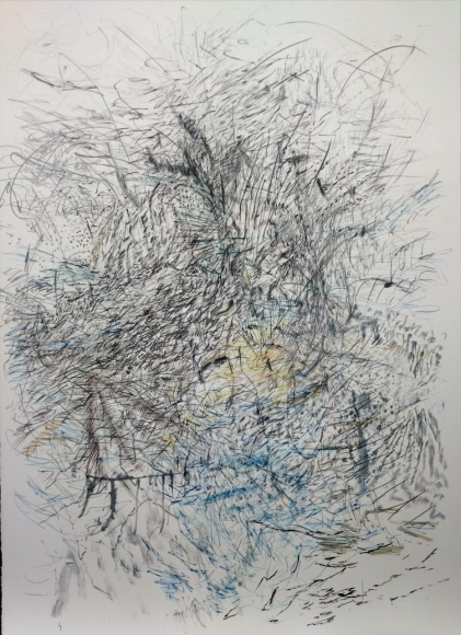 Jayashree Chakravarty Nature's marks