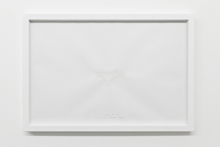 Shilpa Gupta Tree Drawing Series (Acacia Tree)