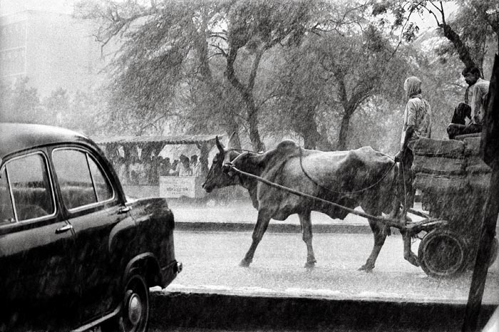 Raghu Rai MONSOON DOWNPOUR IN DELHI