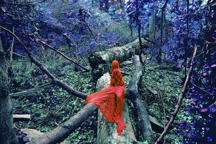 Sarah Ahmad From the series 'Bol' (18)
