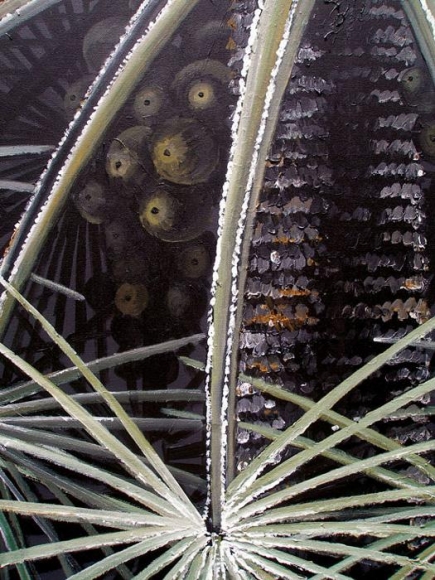 Rajan Krishnan PLANT FROM THE GROVE BY THE RIVER 4