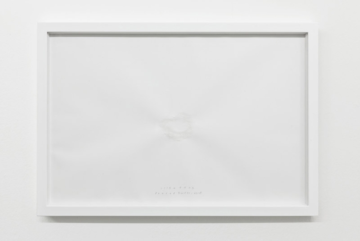 Shilpa Gupta Tree Drawing Series (Olive Tree)