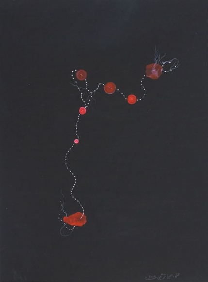 Sumaira Tazeen MOTI TANKA (FRENCH KNOT)