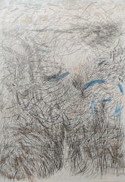 Jayashree Chakravarty, Wilderness
