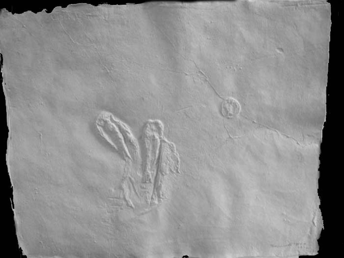 Somnath Hore WOUND SERIES 7