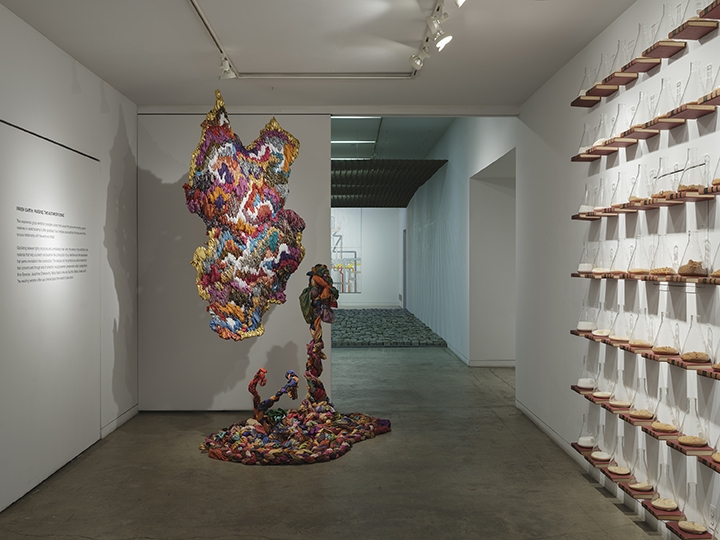 Fresh Earth Installation View