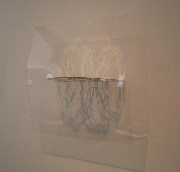 Amna Ilyas UNTITLED 4