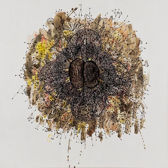 James Cullinane THE END OF OWLS
