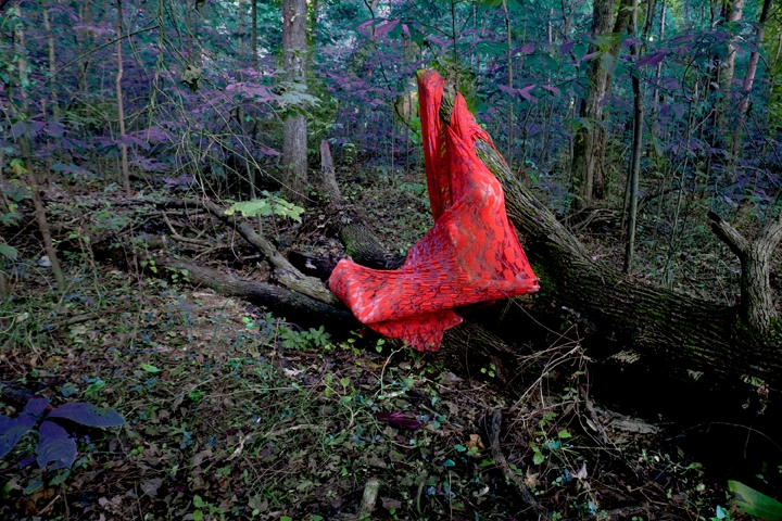 Sarah Ahmad From the series 'Bol' (16)