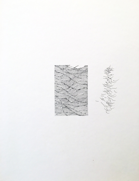Waqas Khan Untitled