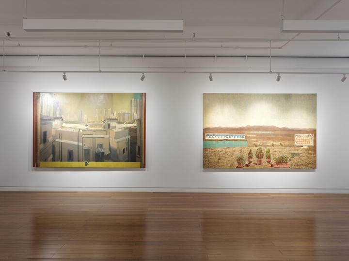 Nataraj Sharma | Travel Log, Installation View 2