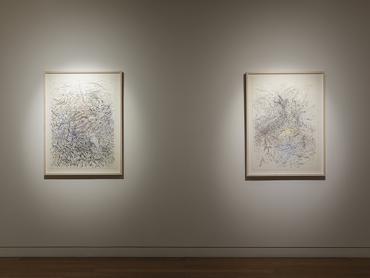 Fresh Earth Installation View