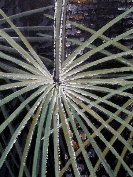 Rajan Krishnan PLANT FROM THE GROVE BY THE RIVER 4