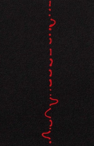 Roohi Ahmed SEEMINGLY VERTICAL (Ed. of 12)