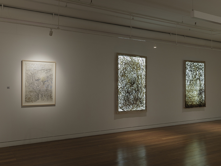 Fresh Earth Installation View