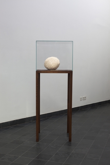 Shilpa Gupta1:2138 2017Vitrine, brass plate, shredded garment22 x 20 x 62 in.