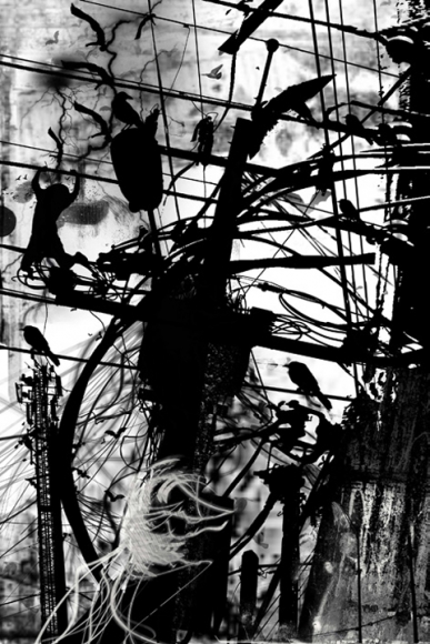 Janananda Laksiri Untitled (16)
