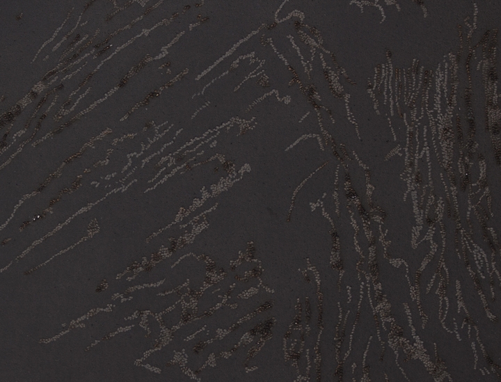 Saad Qureshi Absence of Light VIII (Detail View)2017Paint, burnt paper22 x 30 in.
