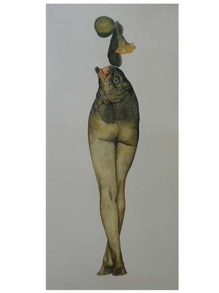Avishek Sen LEGS & FISH
