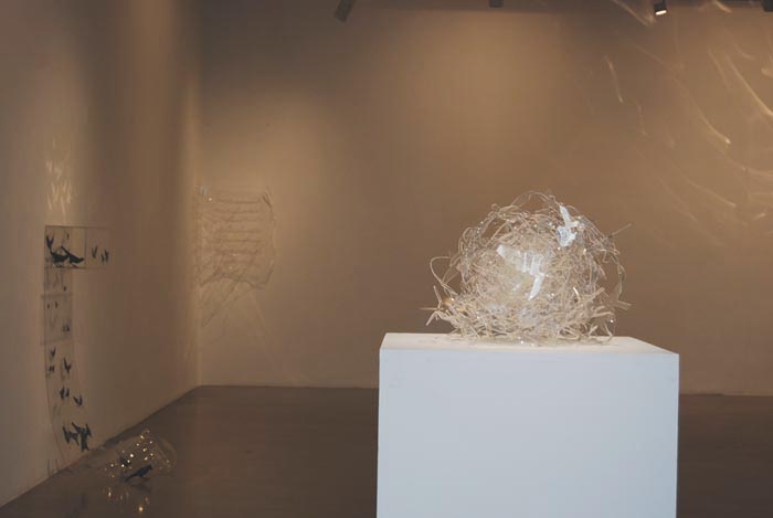 Installation Shot 3