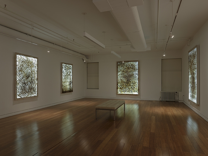 Fresh Earth Installation View