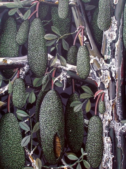 Rajan Krishnan PLANT FROM THE GROVE BY THE RIVER 1