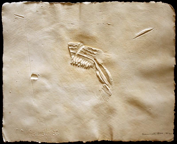 Somnath Hore Untitled (Wound Series), 8