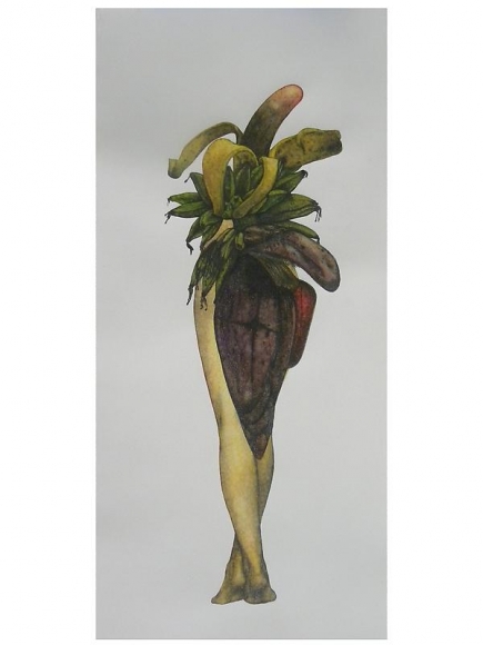 Avishek Sen LEGS & FRUIT