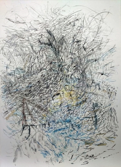 Jayashree Chakravarty, Nature's marks