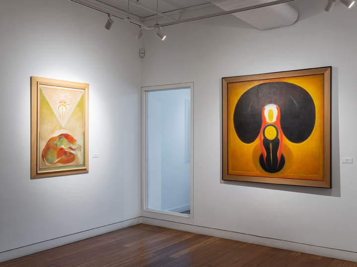 Outside the Lines: Secular Vision in South Asian Modernism, Installation View 9