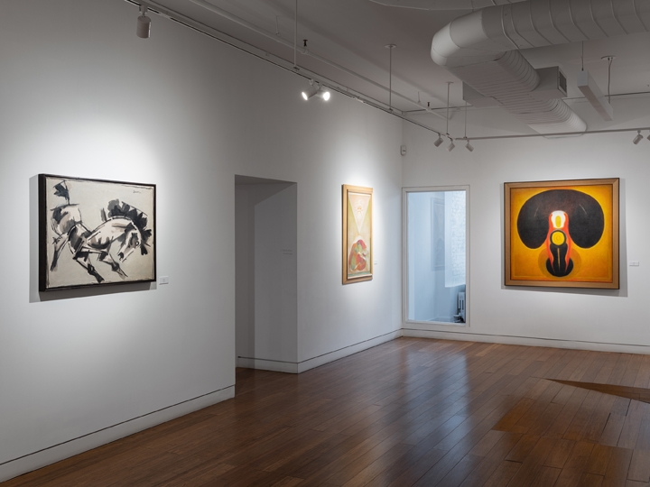 Outside the Lines: Secular Vision in South Asian Modernism, Installation View 8