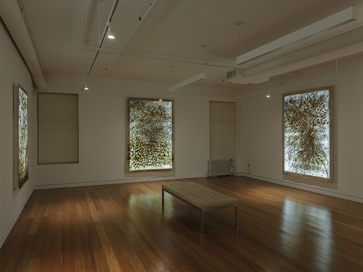 Fresh Earth Installation View