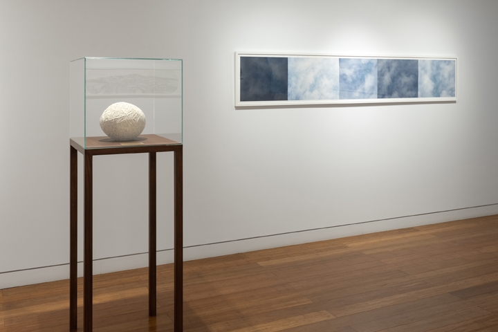 Pale Sentinels Installation View 9