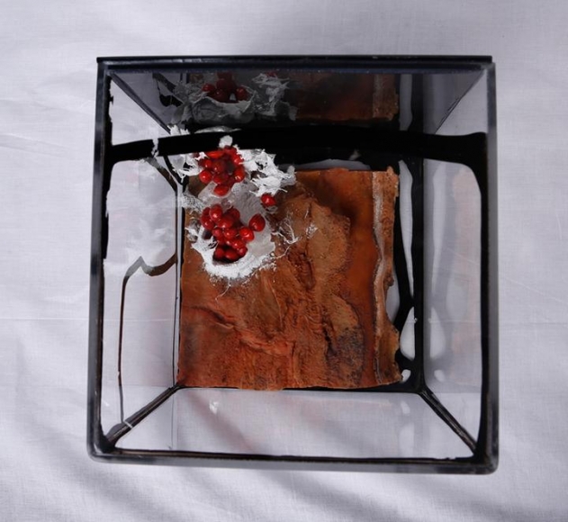 Ratna Gupta SOMEDAY CONTAINED SERIES (BOX 4)