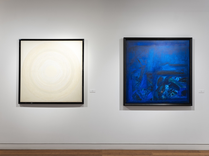 Outside the Lines: Secular Vision in South Asian Modernism, Installation View 3