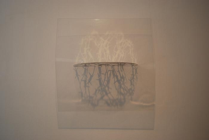 Amna Ilyas UNTITLED 4