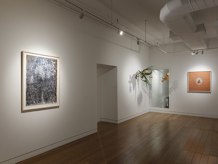 Fresh Earth Installation View