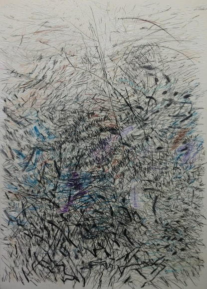 Jayashree Chakravarty Scribbles