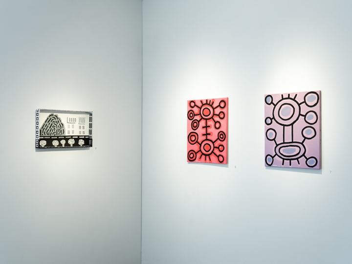 Mohamed Ahmed Ibrahim, Mixed Lines