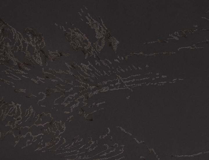 Saad Qureshi Absence of Light VII (Detail View)2017Paint, burnt paper22 x 30 in.