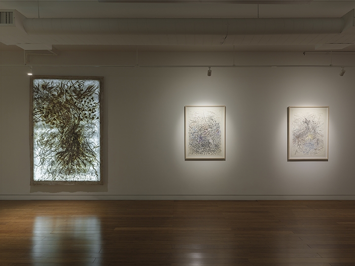 Fresh Earth Installation View