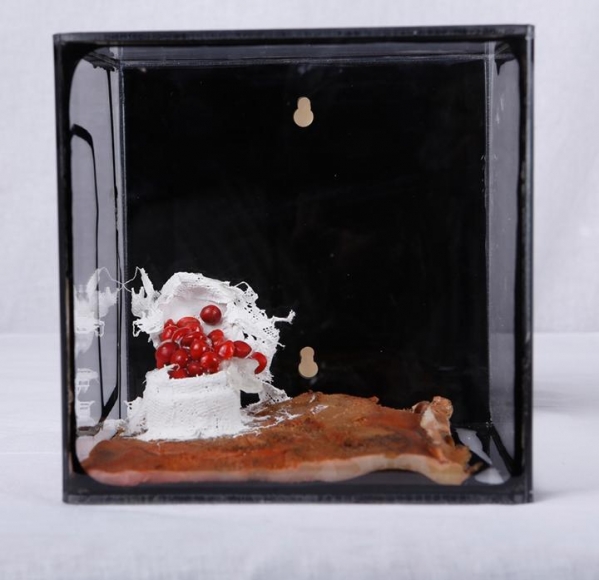 Ratna Gupta SOMEDAY CONTAINED SERIES (BOX 4)