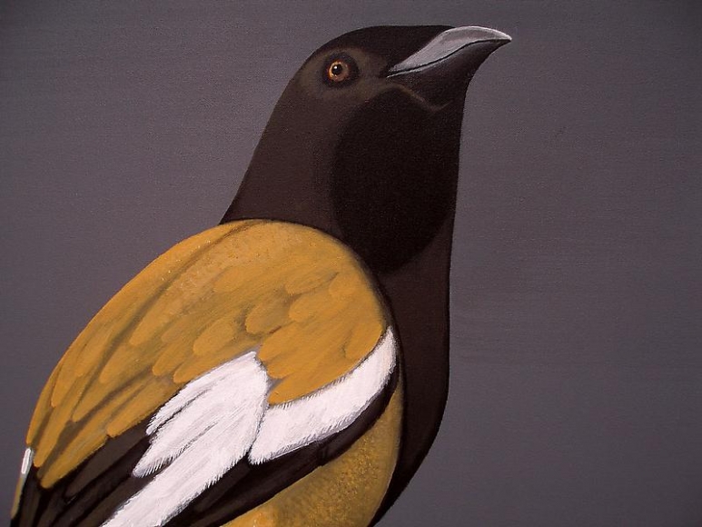 Rajan Krishnan PASTORAL FINCH